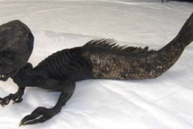 Nàng tiên cá và bí ẩn ở Greenland